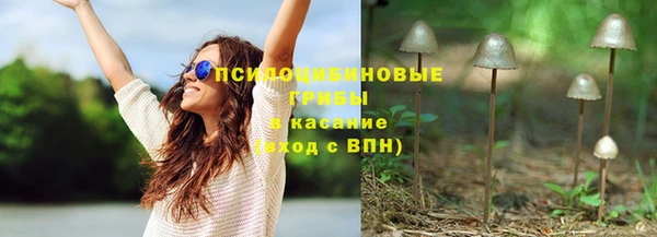 Альфа ПВП Богородск
