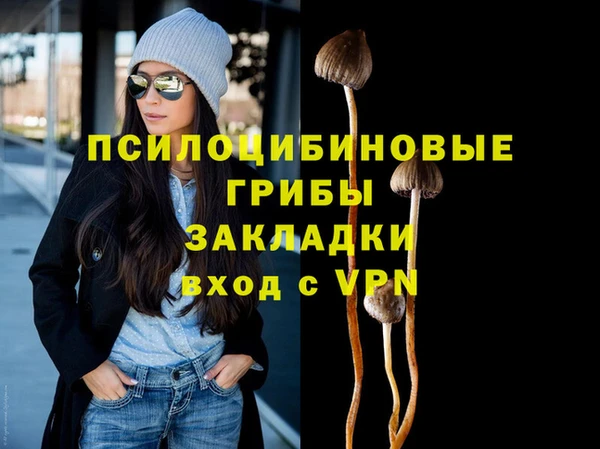 Альфа ПВП Богородск